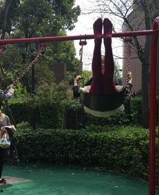 体验服爆料荡秋千视频,体验服新玩法揭秘