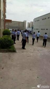 塘厦电子厂爆料最新消息,揭秘行业动态与内部秘密